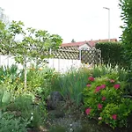 Apartament Joos